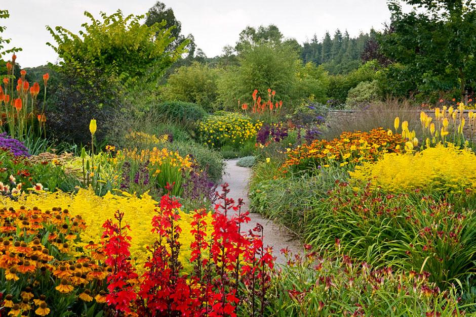 View our galleries from RHS Garden Rosemoor / RHS Gardening