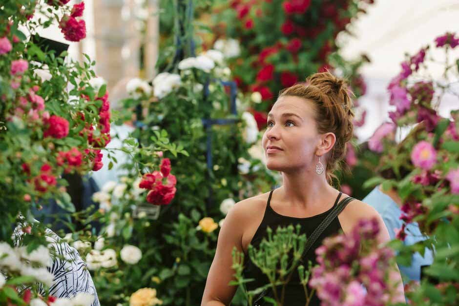 Festival of Roses at RHS Hampton Court 2024