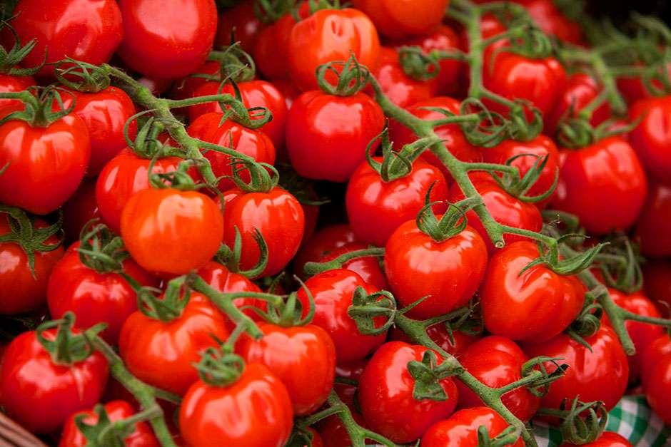 Growing Tomatoes - Thrive