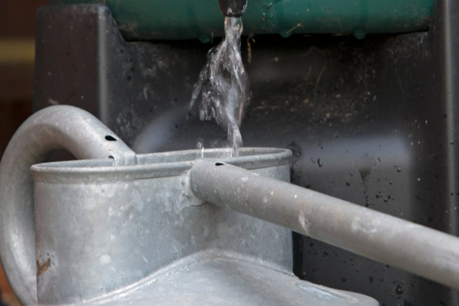 Filling a watering can from a water butt