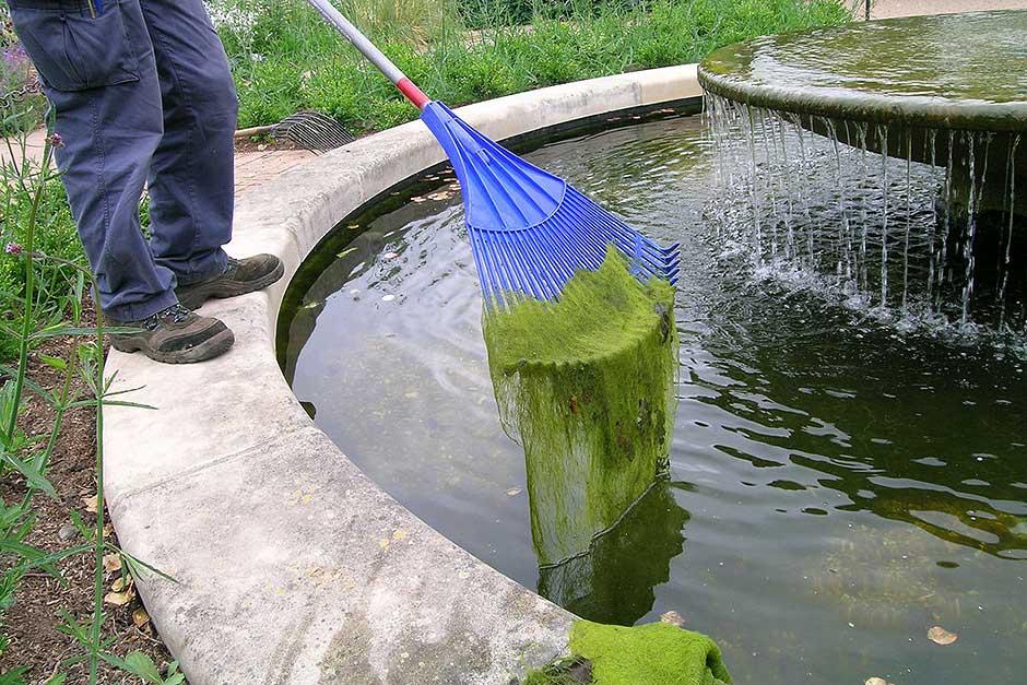 Blanket weed 2025 control in ponds