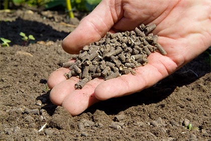 Soil: understanding pH and testing soil / RHS Gardening