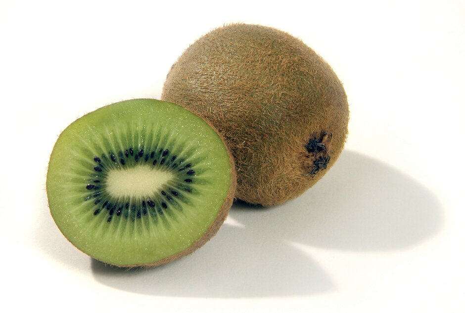 How to Grow a Kiwi - Grow Organic