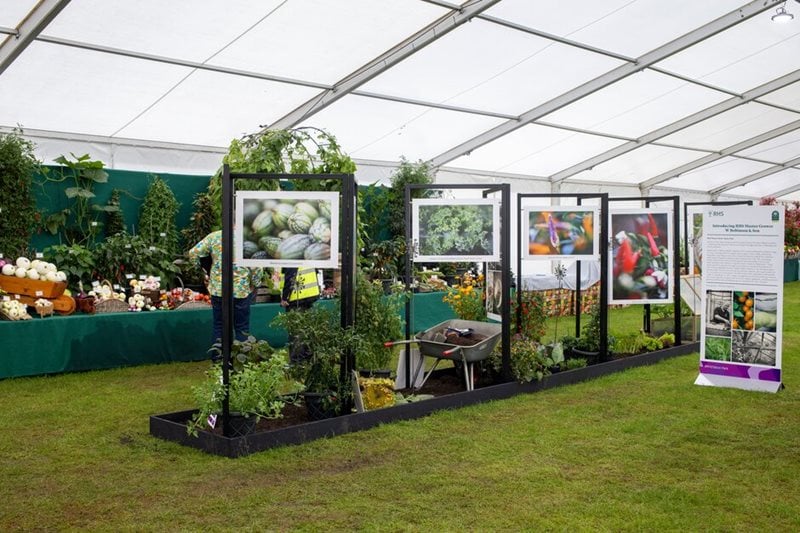 Robinson Seeds & Plants display