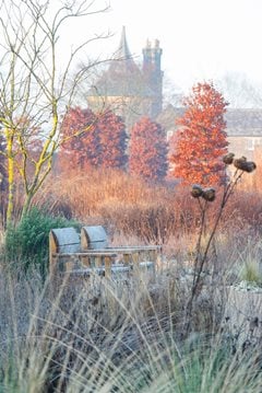 Paradise Garden at RHS Bridgewater