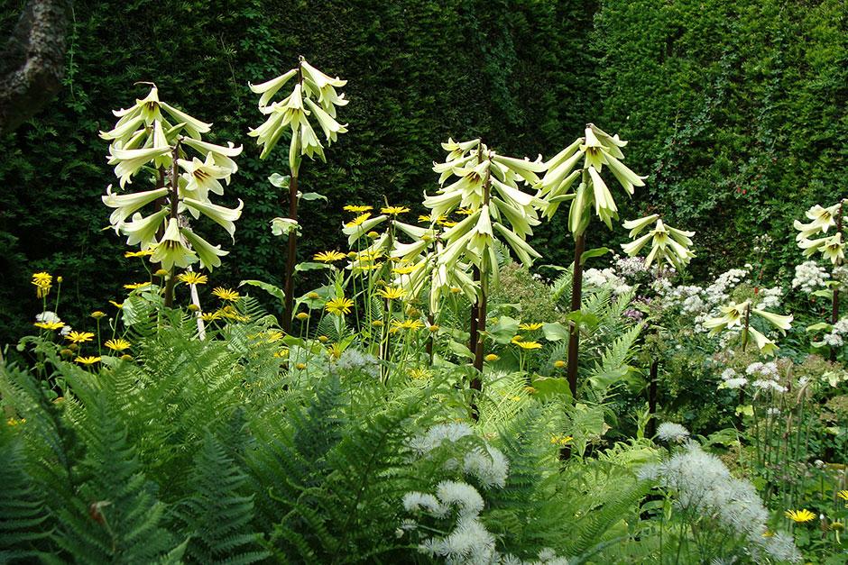 Beautiful Open Gardens To Visit In The Uk Public Gardens Rhs