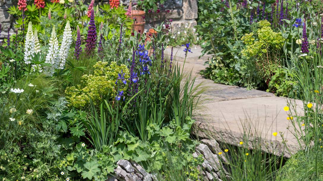 See the Welcome to Yorkshire Show Garden at RHS Chelsea Flower 