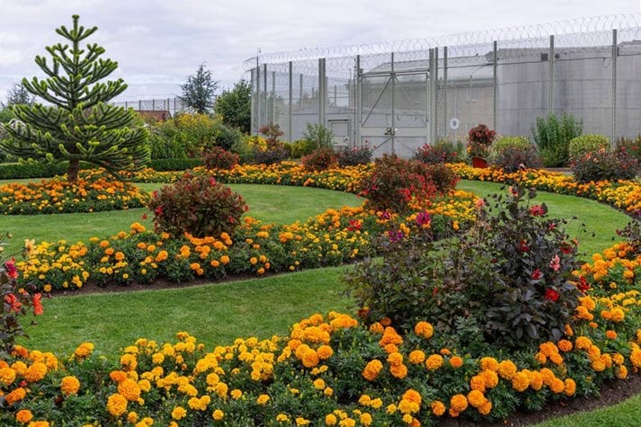 The colourful Monkey Puzzle Garden at HMP Whatton