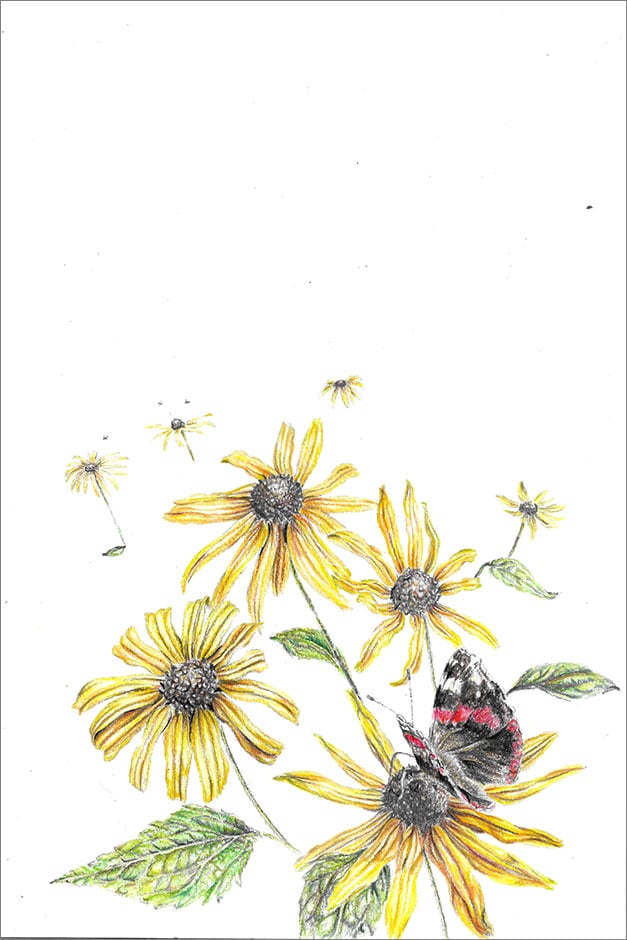 Rudbeckia artwork