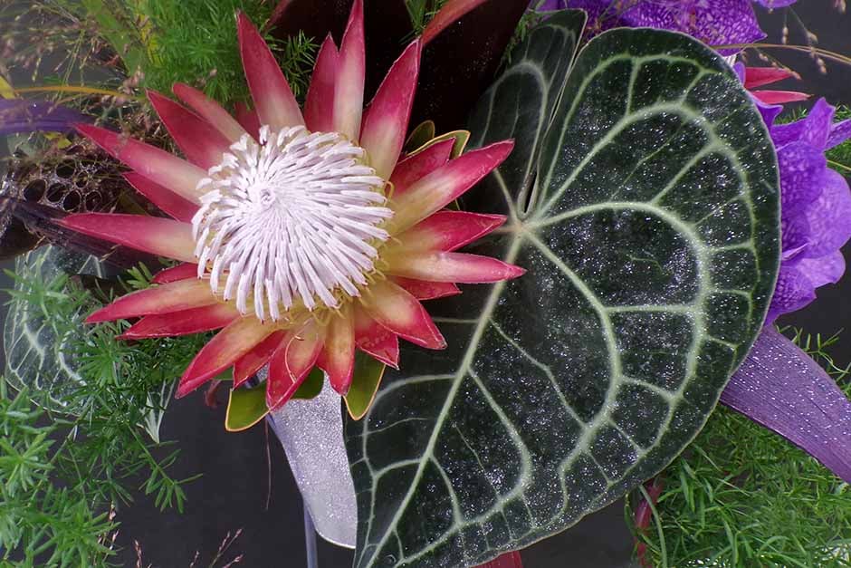 Floral art at Malvern Autumn Show