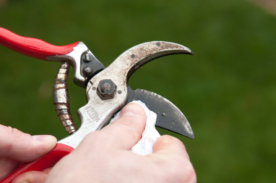 Cleaning garden deals shears