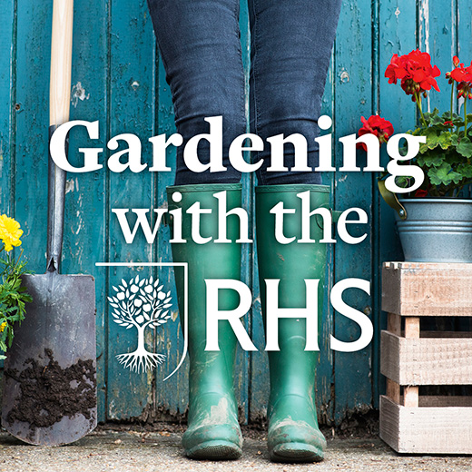 Listen To Rhs Gardening Podcasts Rhs Gardening