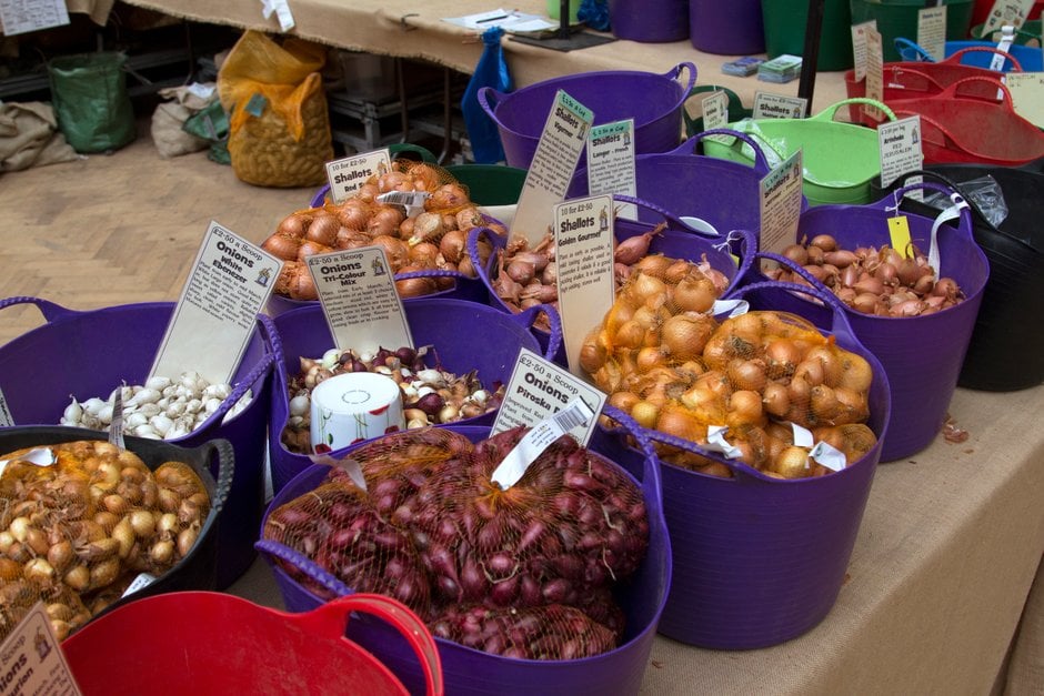 Are You Storing Onions the Wrong Way? Learn How to Store Every Variety -  Food Gardening Network