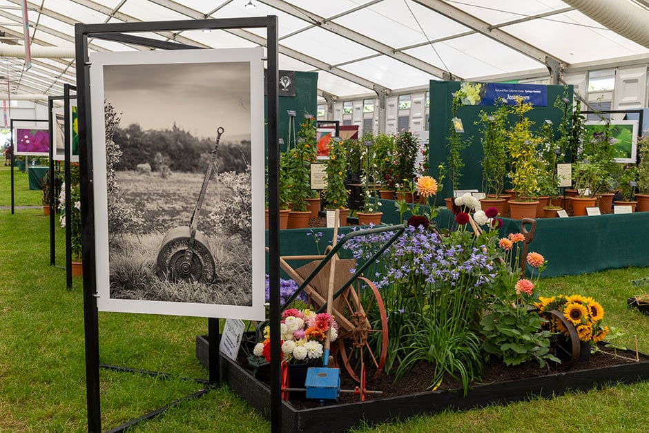 Master Grower display