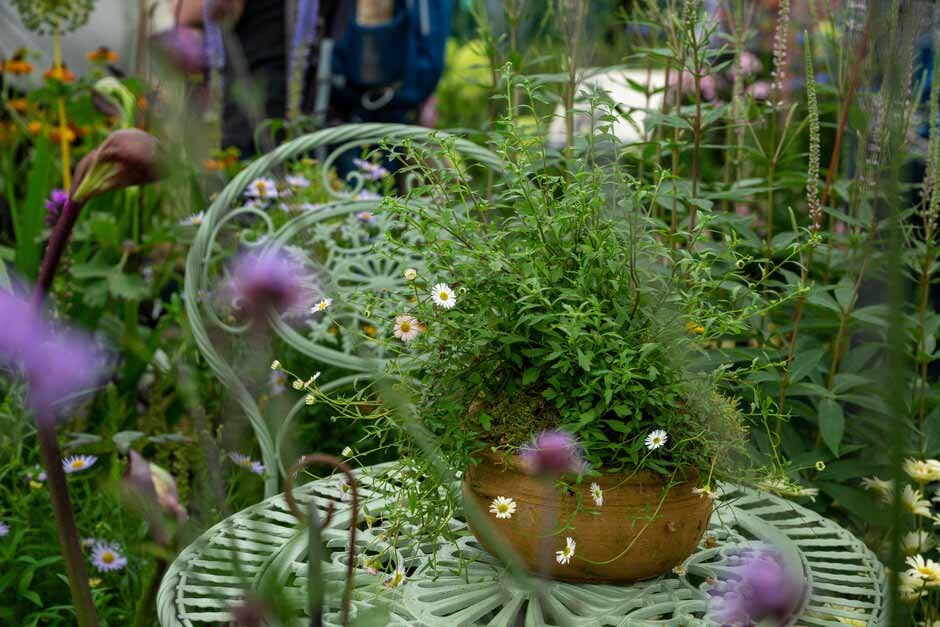 Exhibit in the Floral Marquee