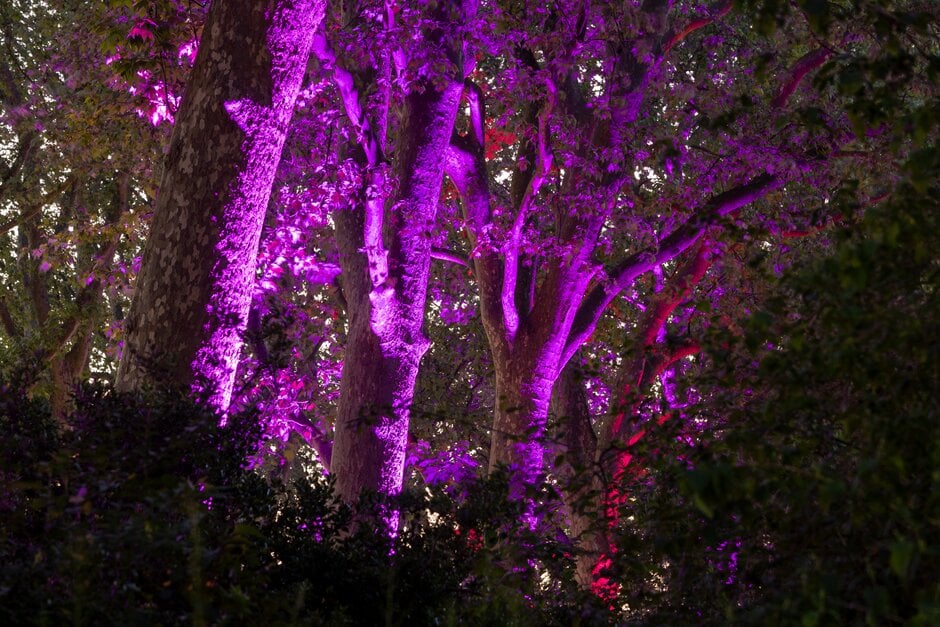 RHS Chelsea at night