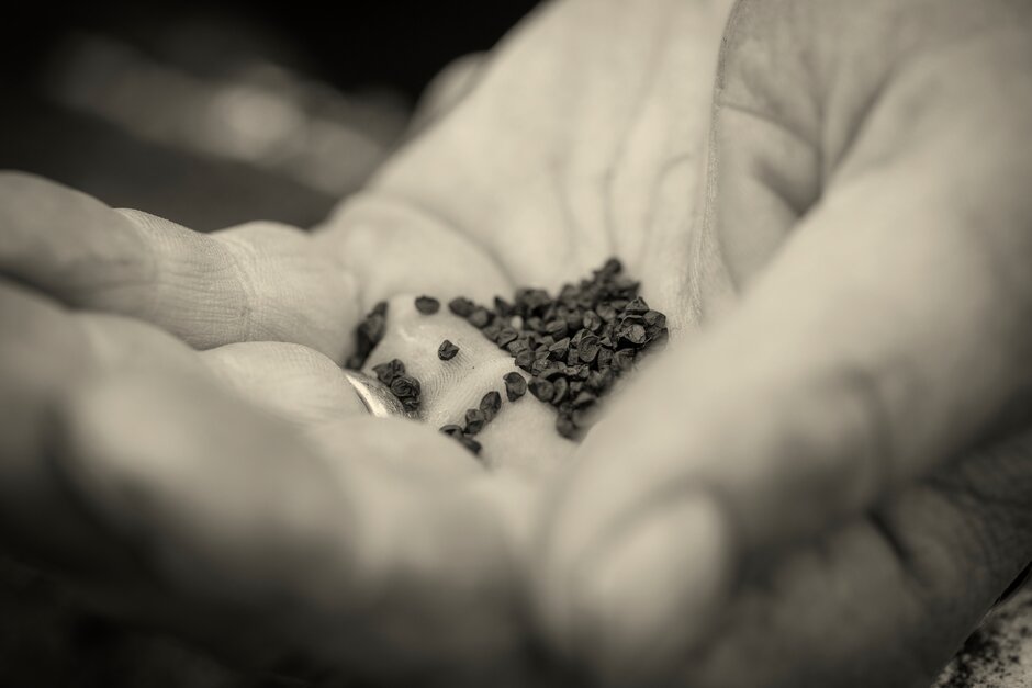 Master Growers hand holding seed