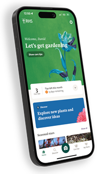 How To Support Garden Plants