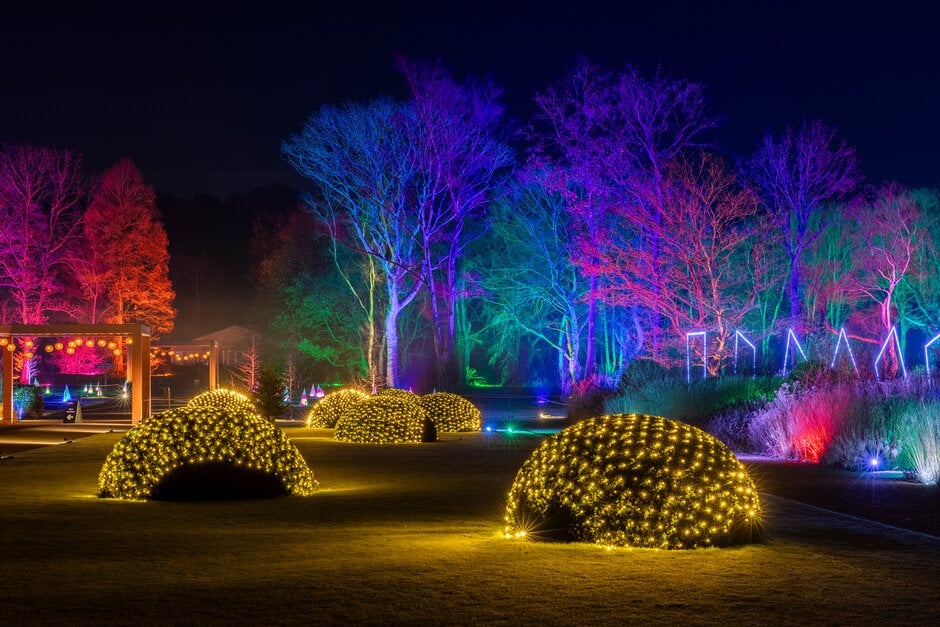 RHS Glow Bridgewater illuminations