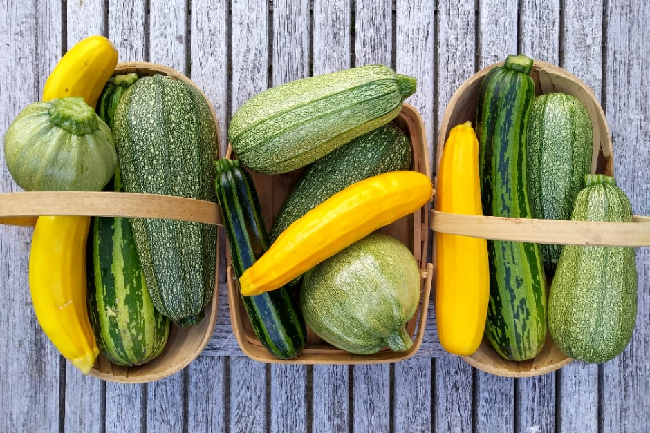 Baskets of courgettes and marrows