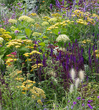 People's Choice Award at RHS Hampton Court Palace Flower Show / RHS ...