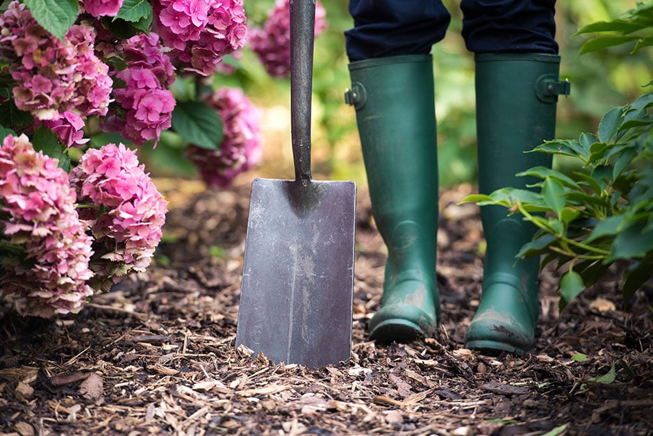 What can I do about climate change in my garden?