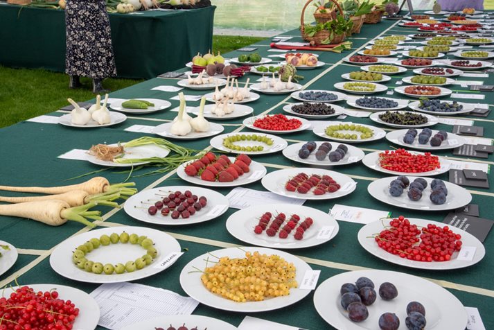 Fruit & Veg Competition Tatton