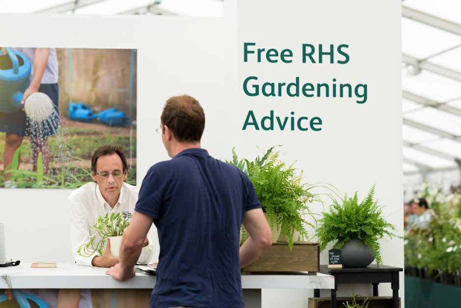 RHS advice at RHS Hampton Court 2024