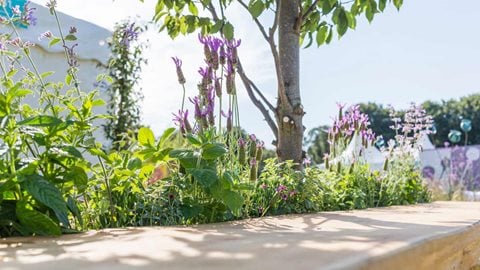 Cheshire Gardens of Distinction: Feel Good in 2017