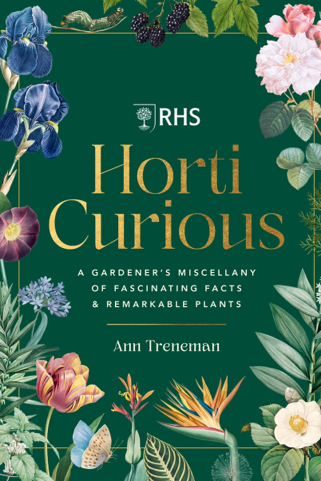 Horti curious cover