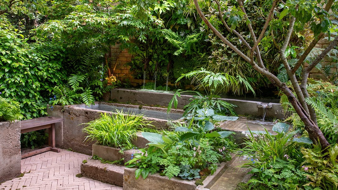 The Ecotherapy Garden