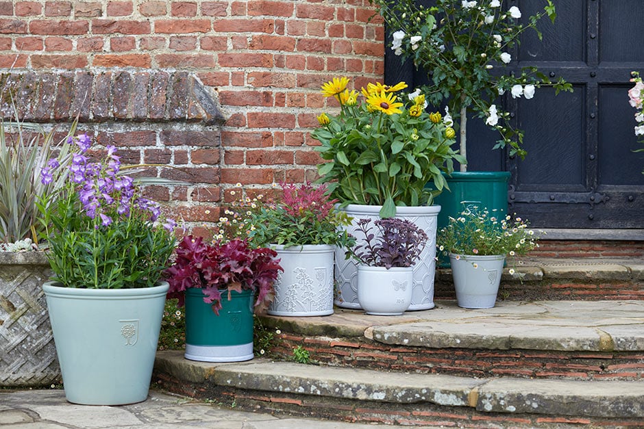 Rhs on sale plant pots